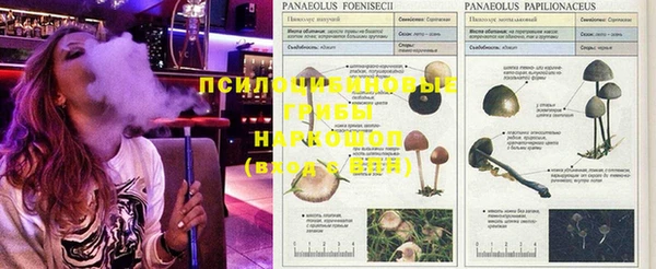 бошки Белоозёрский