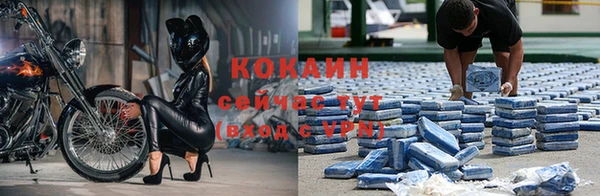 ПСИЛОЦИБИНОВЫЕ ГРИБЫ Беломорск